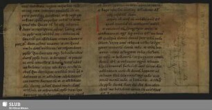 1,3: Biblia - Mscr.Dresd.R.52.p,I,Nr.3 : [Fragmente]