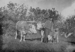 Mann und Kind beim Kühe hüten : Mann und Kind beim Kühe hüten