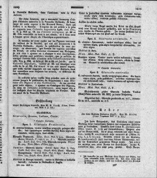 Ueber eine neue Gattung Eulophus Geoffr. (Linn. Transact. XIV. I. p. 111)