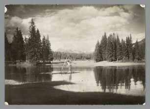 Österreich. Zeller See