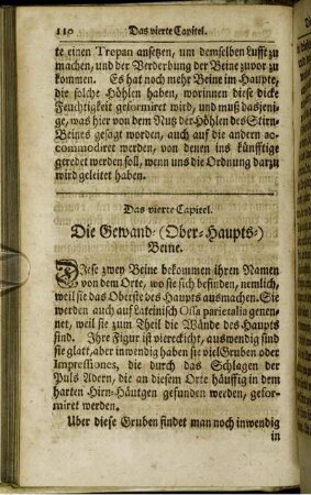 Das vierte Capitel. Die Gewand- (Ober-Haupts-) Beine.