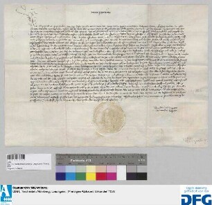 Das Landgericht des Burggrafentums Nürnberg stellt ein Vidimus aus von der kaiserlichen Urkunde d.d. 3. Dezember 1436.