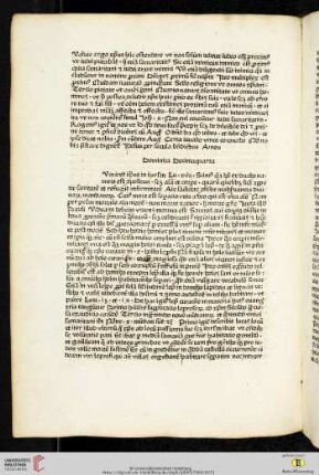 Dominica Decimaquarta