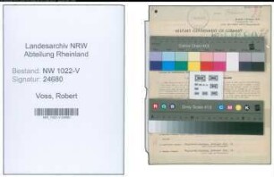 Entnazifizierung Robert Voss , geb. 09.08.1894 (Buchhalter)