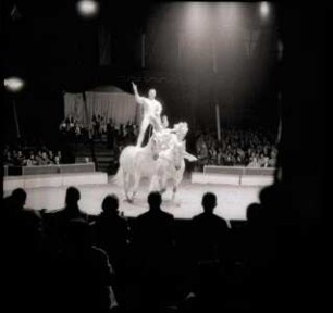 Circus Barum - Circus Sarrasani, Hannover, 1976