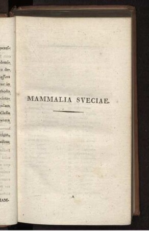 I. MAMMALIA.