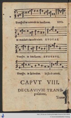 Caput VIII. De Clavium Transpositione