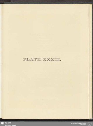 Plate XXXIII