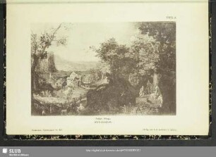 Waldlandschaft