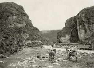 Unterhalb des Palmyrapasses