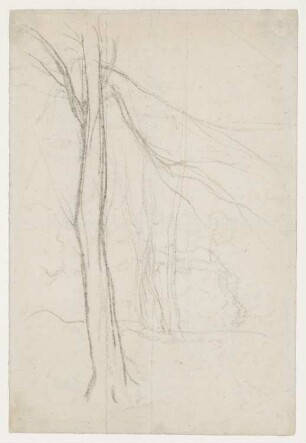 Entlaubter Baum
