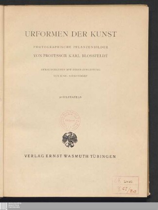Urformen der Kunst : photographische Pflanzenbilder