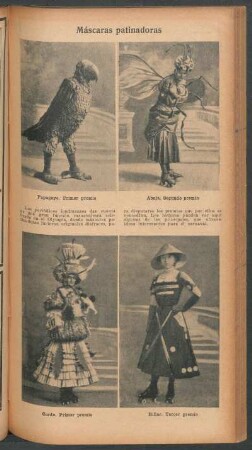 Máscaras patinadores - [Ilustración]