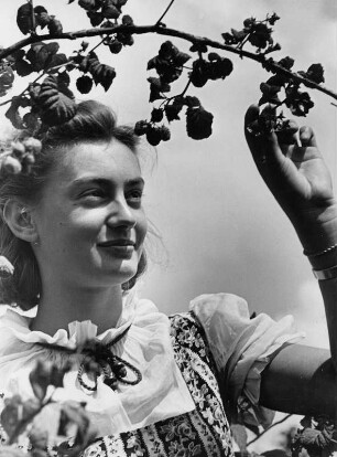 Eine junge Frau (Anja) erntet Beeren in einem Schrebergarten