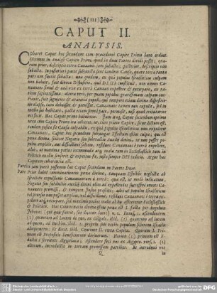 Caput II. [Analysis, Explicatio Textus, Quaestiones, Loci Communes]