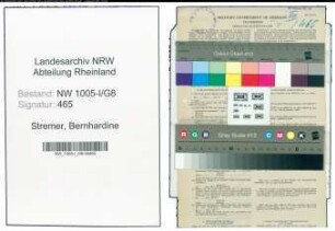 Entnazifizierung Bernhardine Stremer , geb. 21.09.1911 (Postfacharbeiterin)