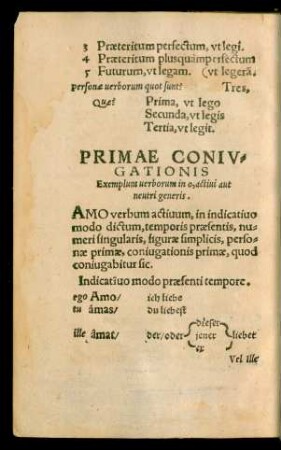 Primae Coniugationis