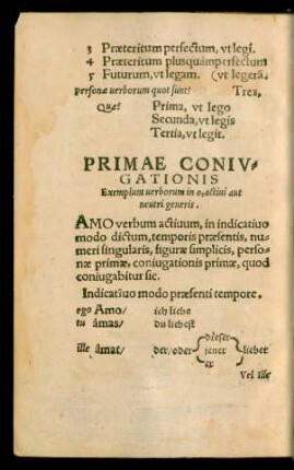 Primae Coniugationis