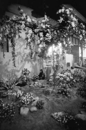 Freiburg: Stadthalle, Blumen- und Gartenausstellung, Künstliche Blumen, Blumen Meier