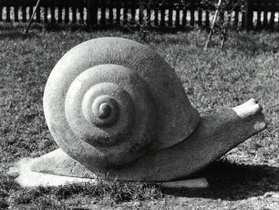 Schnecke und Schneckenhaus