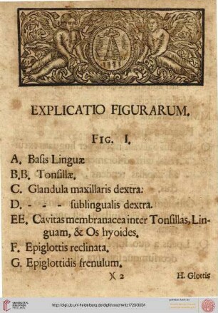 Explicatio Figurarum