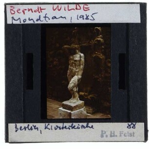 Wilde, Mondfrau