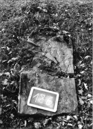 Grabstein 186 (Index: 100090512) Material: Sandstein Zustand: zerbroch/beschäd/abgeblätt/völl. Textverl Maße HxBxT: 101x50x0 cm Beschreibung: Stele, Rundbogenabschluß Symbolik: Rundbogenfries: Grabstein 186