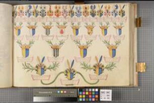 Proband: Plettenberg, Heinrich Theodor Mauritz von; Vater: Plettenberg, Mauritz Heinrich von; Mutter: Plettenberg, Maria Elisabeth von: Westfalen, Hzgtm, Ritterschaft