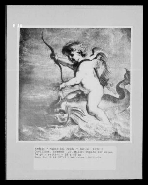Cupido auf einem Delphin reitend