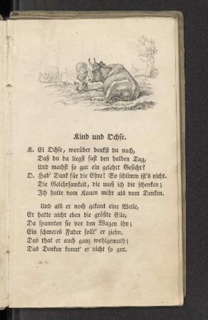 Kind und Ochse.
