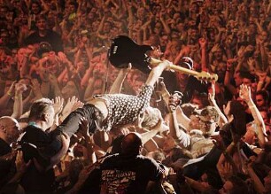 Weil du nur einmal lebst - Die Toten Hosen auf Tour (2019) - Trailer