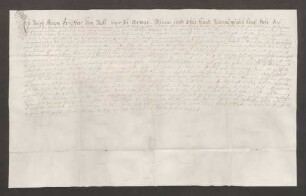 Instrumentum nobilitatis des Joseph Anton von Roll.