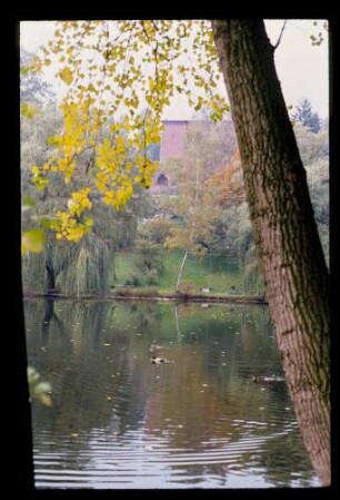 Waldfrdhf. Heerstr. 13.10.77.