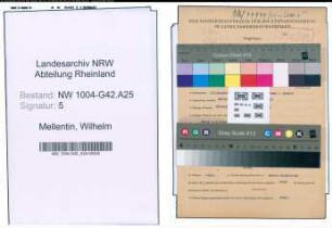 Entnazifizierung Wilhelm Mellentin , geb. 20.12.1897 (Angestellter)