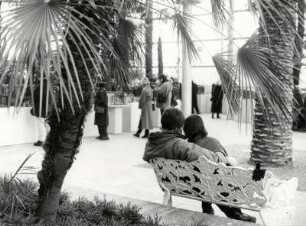Insel Mainau, Flirt im neuen Palmenhaus