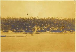Die Küste Banabas (Hamburger Südsee-Expedition 1908-1910)