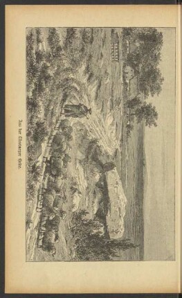 Aus der Lüneburger Heide