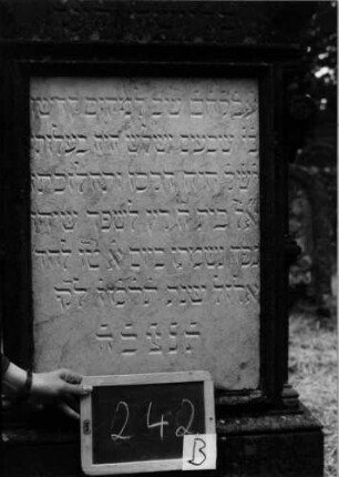 Grabstein 242 [Nir S. 163 Nr. 15.20]: Grabstein 242B [Nir S. 163 Nr. 15.20]