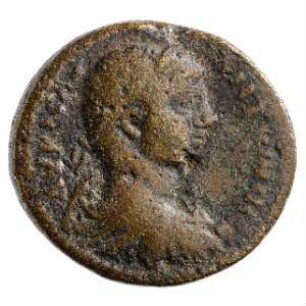 Münze, ΑΛΦ = 531 = 219/20 n. Chr. (BMC)