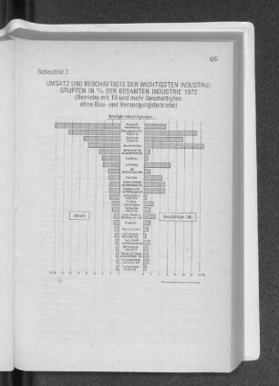 Schaubild 3 Umsatz und Beschäftigte der wichtigsten Industriegruppen in % der gesamten Industrie 1972