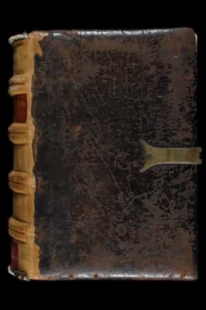 Itineraria in terram sanctam - Johannes Presbyter - Mirabiblia urbis Romae - Franco de Meschede - Eberhardus Woltmann - Passionale - Varia : Ms. theol. lat. qu. 141