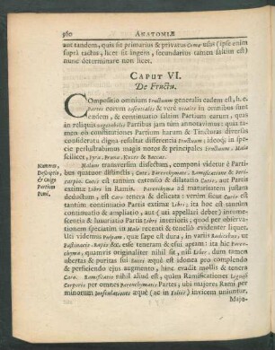 Caput VI. De Fructu.