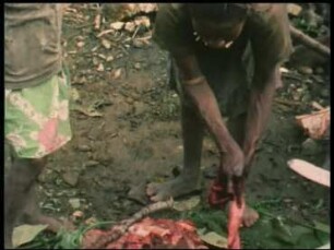 Schweinefest bei den Nalumin (Papua-Neuguinea)