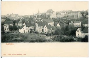 Leisnig. Blick über Leisnig
