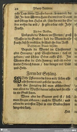 Form der Setzling