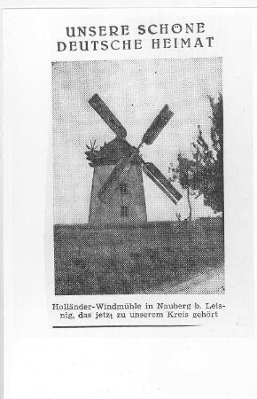 Thümmlitzwalde-Nauberg. Turmholländer, Repro