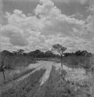 Überschwemmung : Der über die Ufer getretene Kigosi im Kigosi Game Reserve