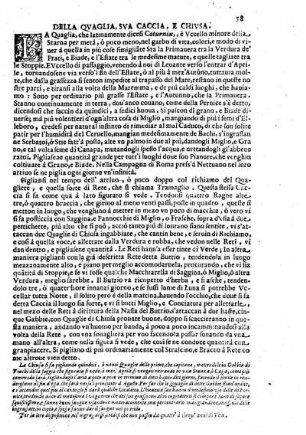 Della Quaglia, sua Caccia, e Chiusa