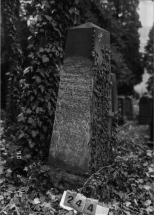 Grabstein 244