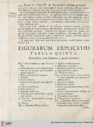 Figurarum Explicatio Tabula Quinta